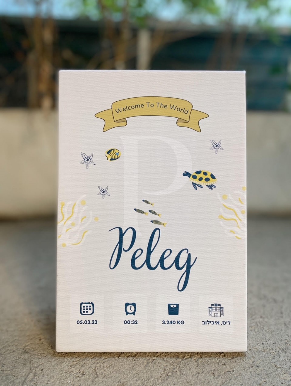 תעודת לידה על קנבס