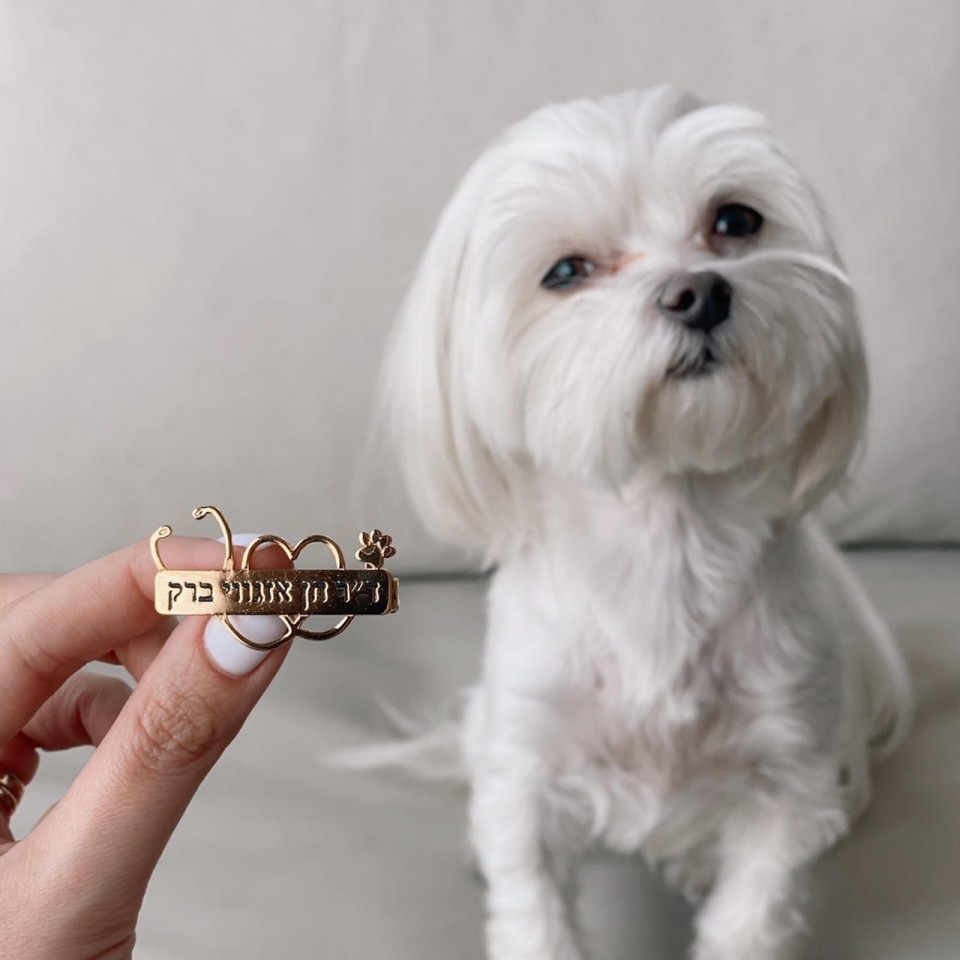 סיכת רופא וטרינר