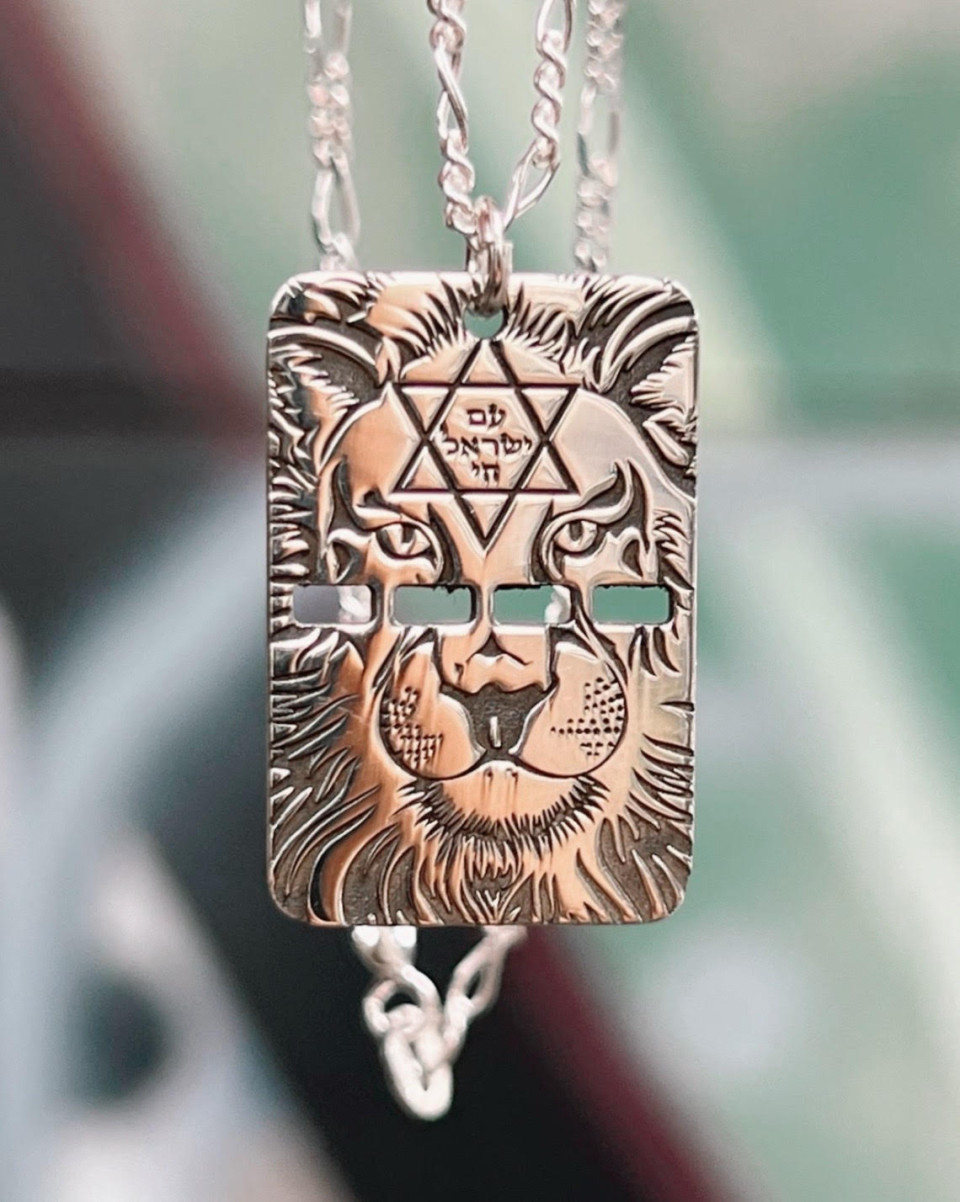 שרשרת דיסקית חלולה לביא