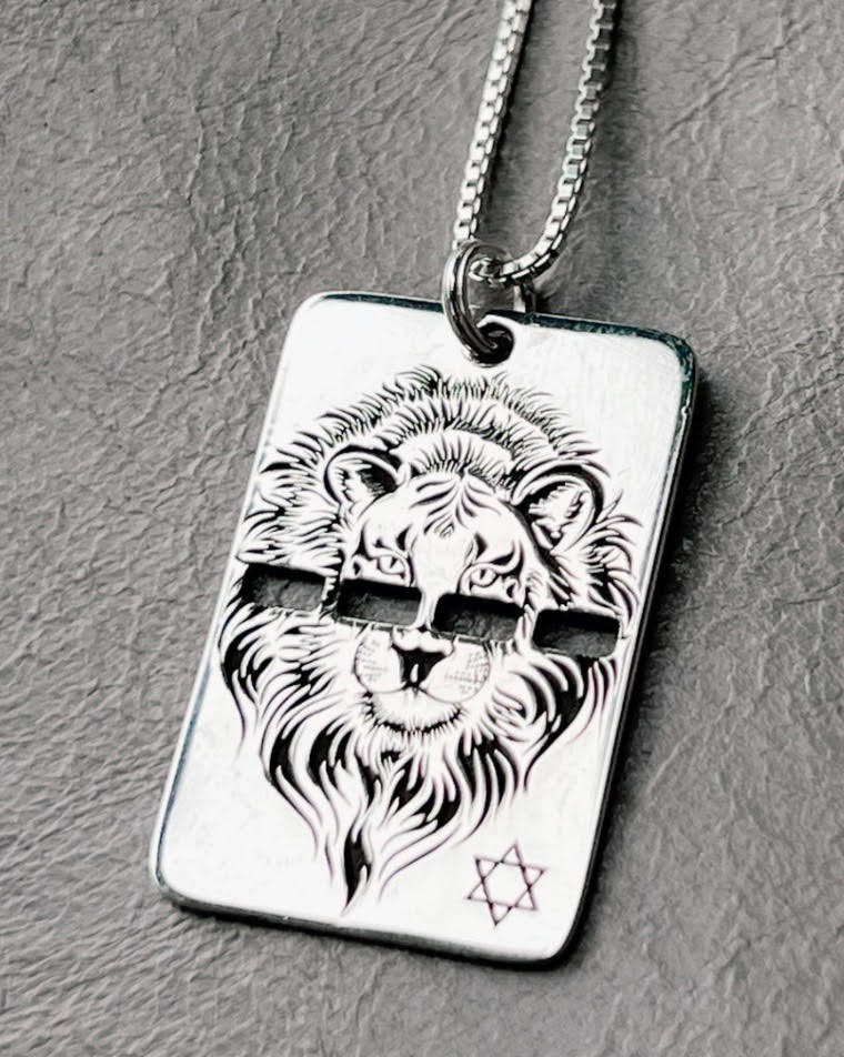 שרשרת דיסקית חלולה לביא